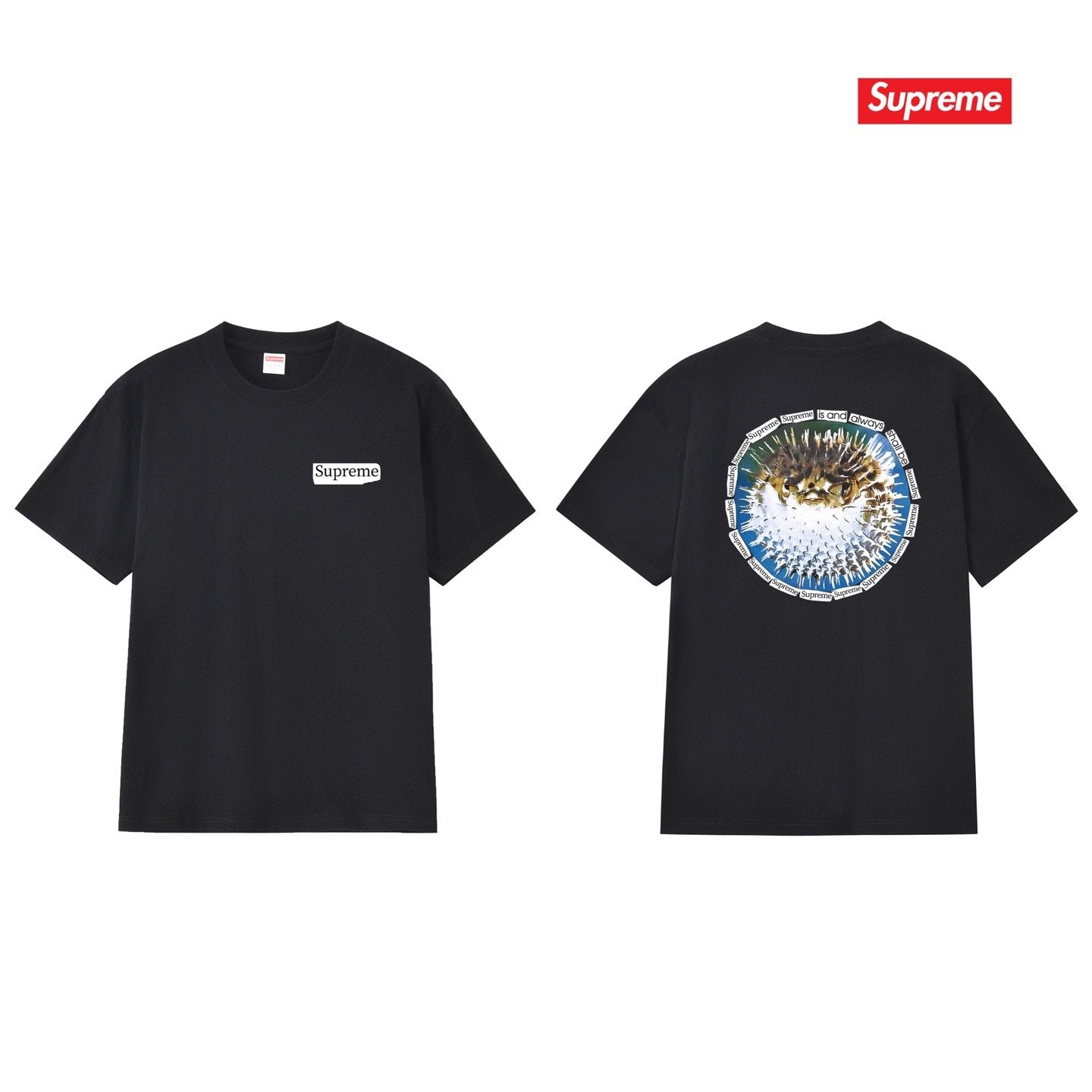Supreme Pufferfish Back Graphic T-Shirt — hero